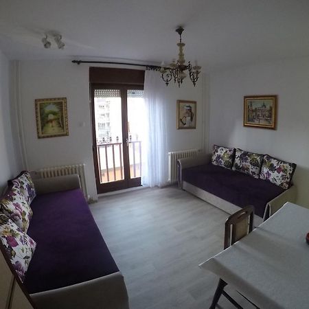 Violet Star Apartment Новий Сад Екстер'єр фото